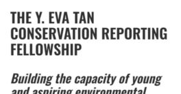 Fully Funded Journalism Fellowships at the Y. Eva Tan Conservation Reporting Program 2024