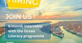 International Internships for Sustainability