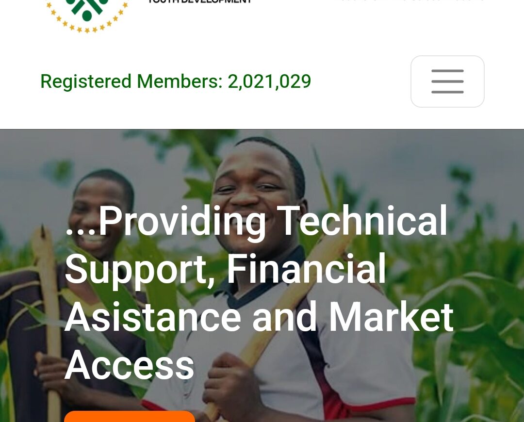 Link to Apply Federal Government Youth Economic Intervention & Deradicalization Program (YEIDEP) | Access to Business Financing