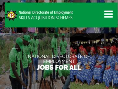 National Directorate of Employment (NDE) Skill Acquisition Program 2025