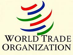 Application For World Trade Organization Internships 2025