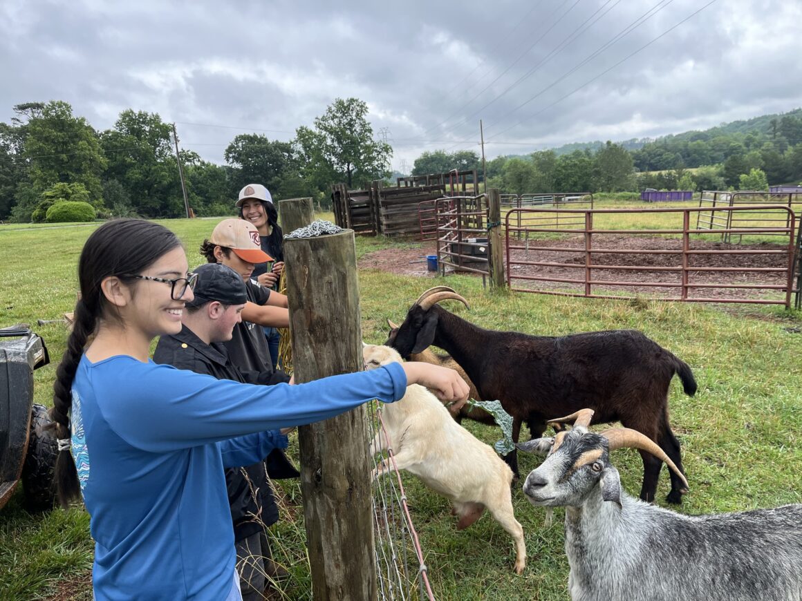 Sustainable Student Farm Summer Internship 2025