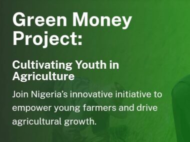 Apply Now For The Green Money Project for Nigerian Youth in Agribusiness 2025