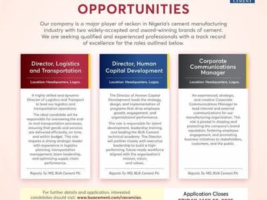 Apply For BUA Cement 2025 Recruitment