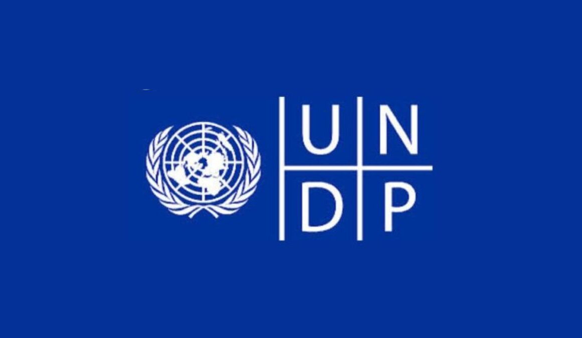 APPLY NOW: UNDP Digital Transformation Internship 2025 – Global Call
