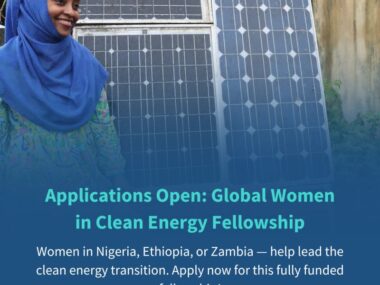 Link To Apply For The Global Women in Clean Energy Fellowship