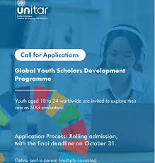 Link To Apply For The UNITAR Youth Scholars Development Program 2025
