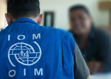 Join the International Organization for Migration (IOM): Assistant Positions Available