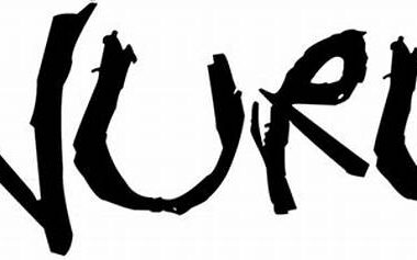 Nuru Nigeria Recruiting in Borno