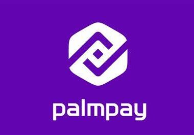 palmpay recruiting for Field Sales Agent